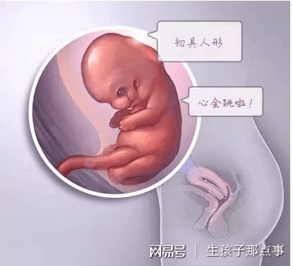 检验中心